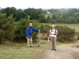 Reigate Heath